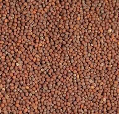 99% Pure And 2% Moisture Dried Brown Mustard Seeds Admixture (%): 1%