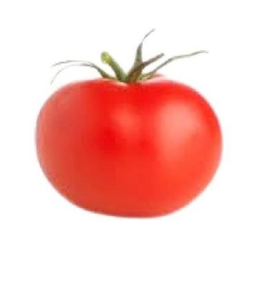 Fresh Naturally Grown Round Shape Red Tomato Moisture (%): 94.4%