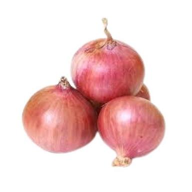 Fresh Round Shape Naturally Grown Brown Raw Onion Moisture (%): 83%
