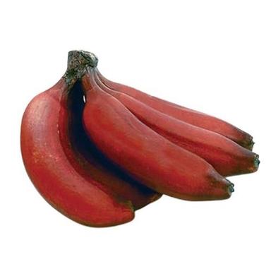 Common Tasty Long Shape Sweet Fresh Red Banana