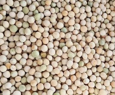Dried And Raw Commonly Cultivated Whole White Pea Bean Broken Ratio (%): 2%