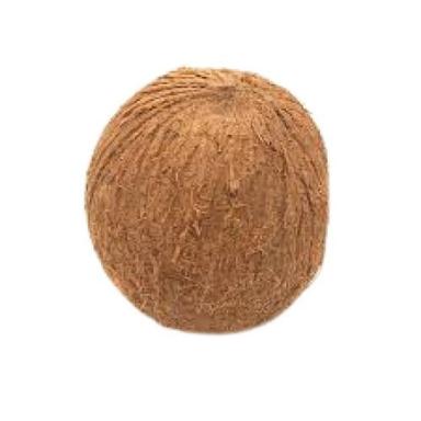 Brown Farm Fresh Round Medium Size Husked Coconut