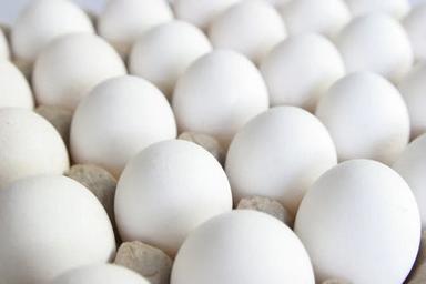 Poultry Eggs                                                