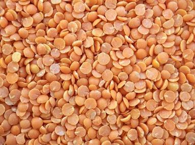 Rich In Taste Organic Masoor Dal For Cooking Use