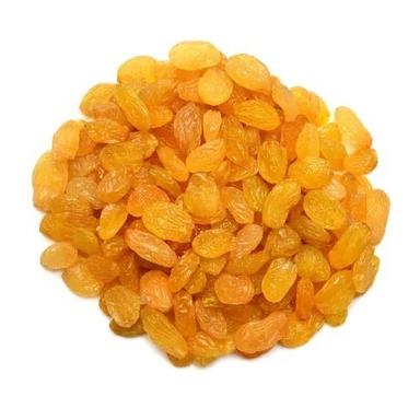 Pure And Dried Common Cultivated Sweet Golden Raisin Max. Moisture (%): 22%
