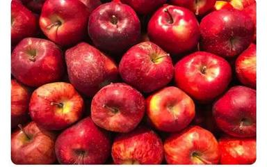 Fresh Organic Natural Red Apple For Human Consumption