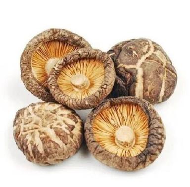 Brown Organic Shitake Variety Dried Mushroom