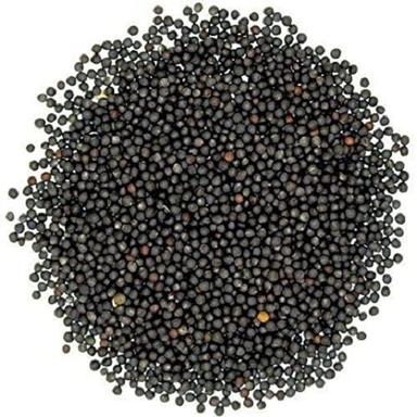 A-Grade Common Cultivated Natural Pure Edible Hybrid Black Mustard Seeds Admixture (%): 1%
