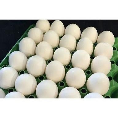 हेल्दी ओवल फ्रेश ऑर्गेनिक पोल्ट्री फार्म हैचिंग चिकन अंडे अंडे का आकार: 55.8 मिमी 