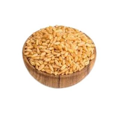 Wheat Grain Broken (%): 1%