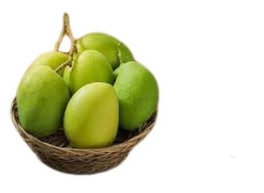 Common Green Mango