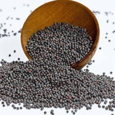 Natural Sun Dried Mustard Seeds For Cooking And Making Oil