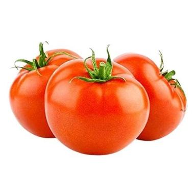 Naturally Grown Round Shape Fresh Tomato Moisture (%): 12%