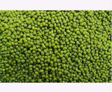 Indian Origin Green Gram Seeds Admixture (%): 0.25%