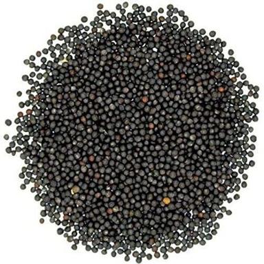 No Added Preservative Commonly Cultivated Round Dried Black Mustard Seeds Admixture (%): 00