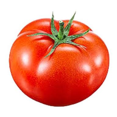 Naturally Grown Raw Round Shape Fresh Tomato Moisture (%): 92.58%