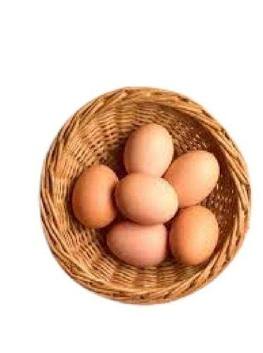 Oval Shape Healthy Brown Egg  Egg Origin: Chicken