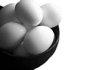 सफेद अंडाकार आकार का स्वस्थ अंडा उत्पत्ति: मुर्गी