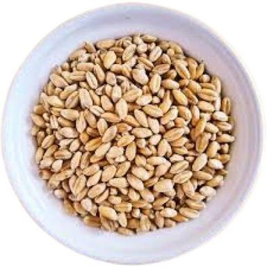 A Grade Dried Hard Medium Grain Brown Wheat  Broken (%): 1%