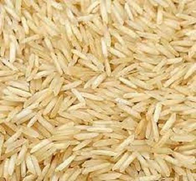 Dried White Naturally Grown Long Grain Basmati Rice Broken (%): 0%