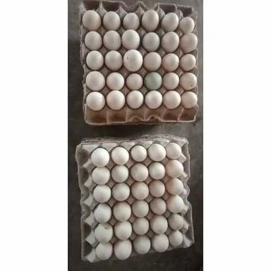 Duck Eggs With Omega-3 Fatty Acids