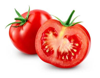 100 Percent Pure And Organic Farm Fresh Round Shape Red Tomatoes