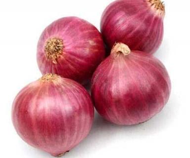 A Grade And Indian Origin Fresh Onion