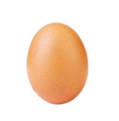 Fresh Brown Oval Shape Healthy Country Chicken Egg