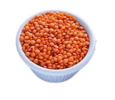 Orange Indian Origin 100 Percent Pure Round Shape Dried Masoor Dal Admixture (%): 0.9%