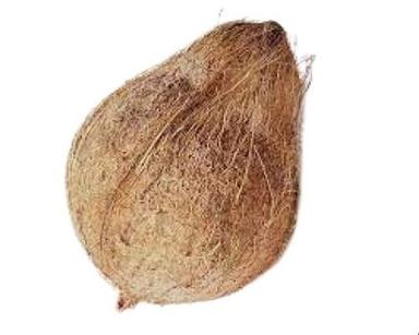 Common Brown Round Shape Semi Husked Fresh Coconut