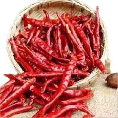 Solid A Grade Dried Elongated Shape Dry Red Chillies