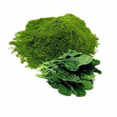 Green Rich Protein Fine Ground Pure And Natural Dried Palak Powder