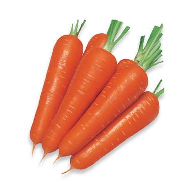 Raw Long Shape Naturally Grown Fresh Carrot Moisture (%): 86 %