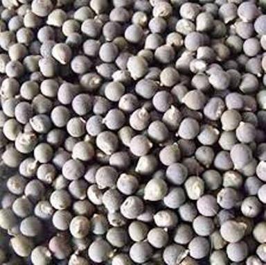 Natural Dried Okra Seeds Purity: 99%