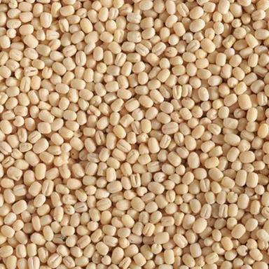 Urad Saboot Dal For Cooking Use