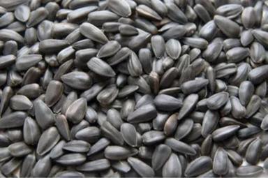 A Grade 100% Pure And Natural Dried Natural Sunflower Seed