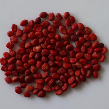 Organic Radish Seed For Agriculture Crop Use