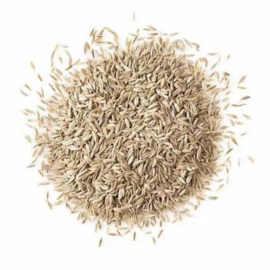 A Grade 100% Pure And Natural Cumin Seed