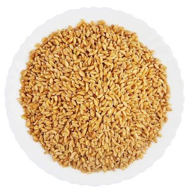 Organic Wheat Grains For Making Flour