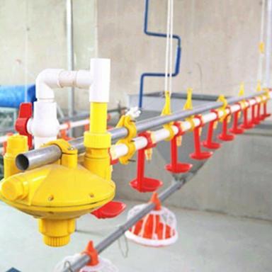 Automatic Poultry Drinking System For Farming Use