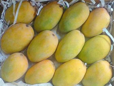 A Grade 99.9% Pure Indian Origin Common Cultivated Sweet Fresh Kesar Mango Origin: India