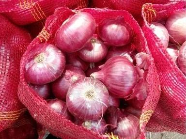 Full Automatic Organic Red Onion For Cooking Use