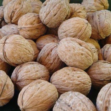 A Grade 99.99% Pure Healthy And Nutritious Common Cultivated Dried Walnut