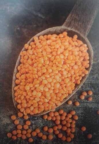 100% Pure And Organic Red Masoor Dal, Rich High Nutrition And Protein