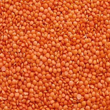 Easy To Cook, Healthy To Eat Masoor Dal For Cooking