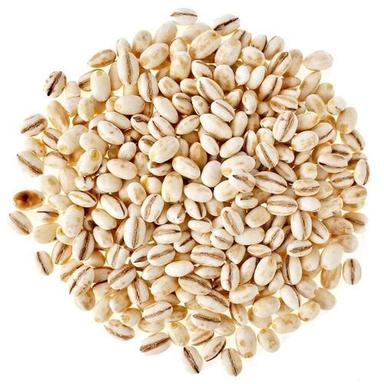 A Grade And Indian Origin Barley Seeds