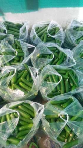 Green Fresh Cocumber Vegitable