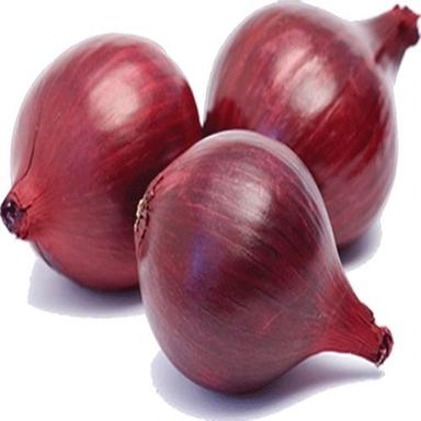 Premium Qujality Fresh Red Onion