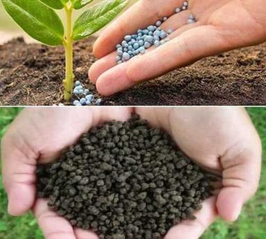 bio fertilizers