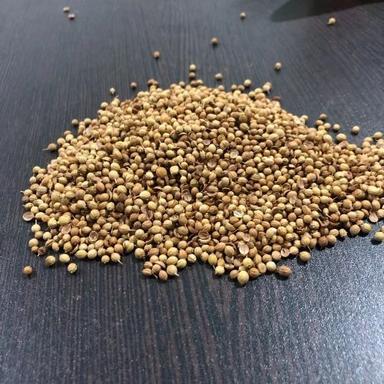 Rich In Taste And Long Shelf Life Coriander Seeds